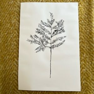 11x16 hemlock print. White/black